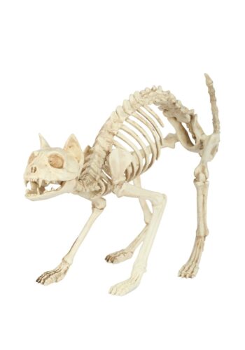 Skeleton Cat Decoration