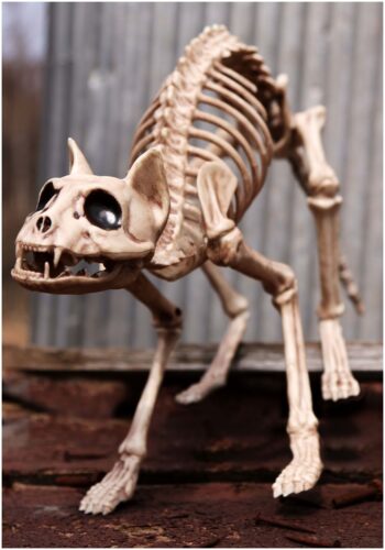 Skeleton Cat Decoration