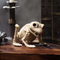 Skeleton Frog Decoration