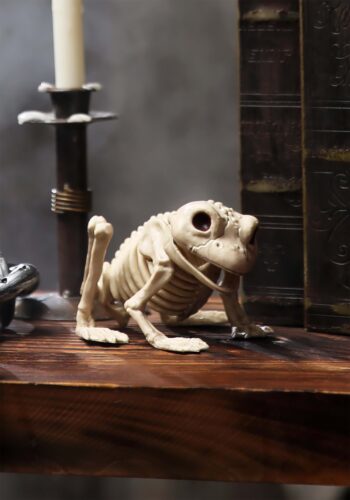 Skeleton Frog Decoration