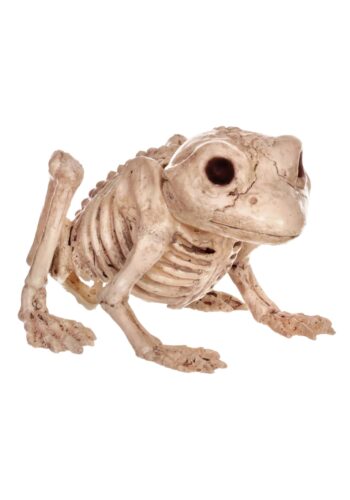 Skeleton Frog Decoration