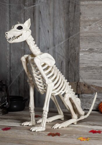 Spike the Skeleton Dog