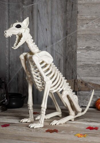 Spike the Skeleton Dog