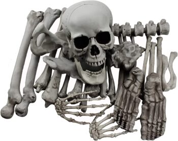 28 Pieces Skeleton Bones and Skull for Halloween Decor or Spooky Graveyard Ground Decoration