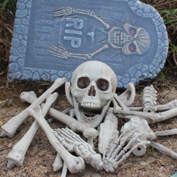 28 Pieces Skeleton Bones and Skull for Halloween Decor or Spooky Graveyard Ground Decoration