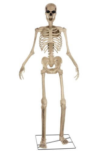 Giant 8 Foot Animated Skeleton Decoration