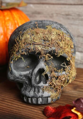 Moss Covered Skull Halloween Decoration