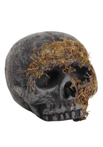 Moss Covered Skull Halloween Decoration