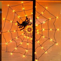 PABIPABI Halloween Decorations Lights Spider Web LED Black Spider Cobweb Lights 3.25FT 70 LED Waterproof Orange Lights and Black Spider, Light Up Decor for Party Yard Bar Haunted House Indoor&Outdoor