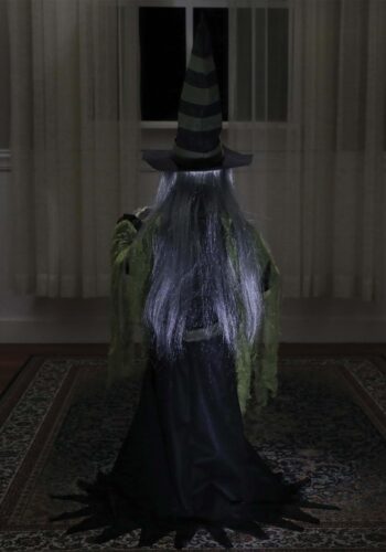 Fortune Teller Witch 36" Animated Prop