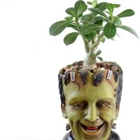 Funny Planter Youfui Head Planter with Drainage Hole Resin Plant Pot Pencil Holder Desk Storage (Frankstein)