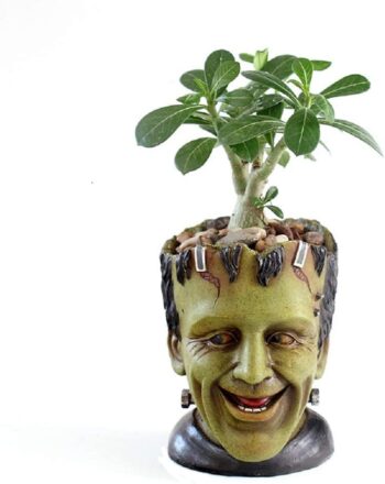 Funny Planter Youfui Head Planter with Drainage Hole Resin Plant Pot Pencil Holder Desk Storage (Frankstein)