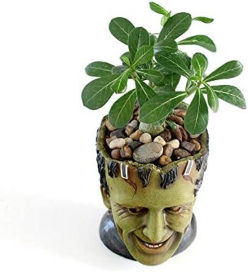 Funny Planter Youfui Head Planter with Drainage Hole Resin Plant Pot Pencil Holder Desk Storage (Frankstein)