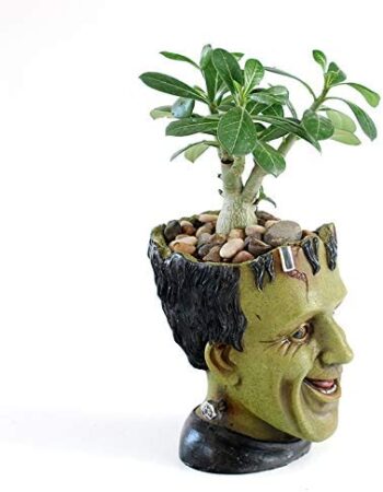 Funny Planter Youfui Head Planter with Drainage Hole Resin Plant Pot Pencil Holder Desk Storage (Frankstein)