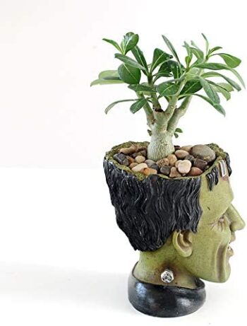 Funny Planter Youfui Head Planter with Drainage Hole Resin Plant Pot Pencil Holder Desk Storage (Frankstein)