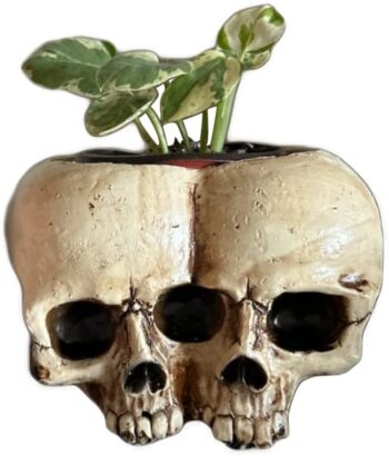 Skull Planter Pots for Indoor Plants, Skull Plant Pot Head Yard Art Outdoor and Garden Decor Outside Spring Skull Flower Pot for Home Decorations Birthday Gag Gifts Halloween (Double skull)