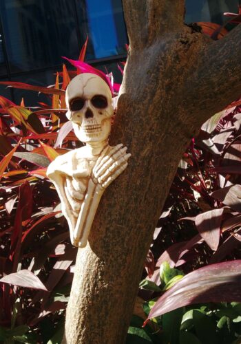 14" Skeleton Tree Peeker Halloween Decoration