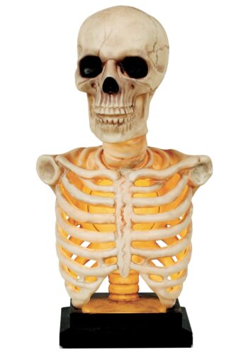 16 Inch Skeleton Bust Prop with Light and Sound