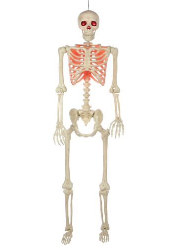 5 foot Poseable Red Light Up Face and Chest Skeleton