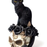 7 Inch Black Cat Sitting Skull Decoration