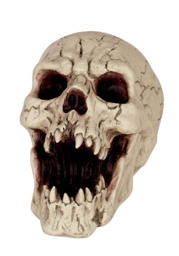 Resin Skull with Sharp Teeth Halloween Decoration