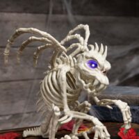 Gargoyle With Lights 9.5" Skeleton Prop