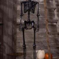 5 Foot Crazy Bones Poseable Skeleton in Black Halloween Decoration