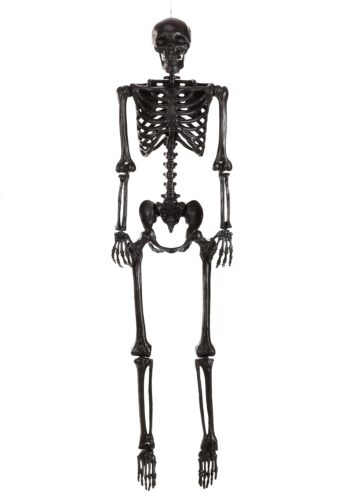 5 Foot Crazy Bones Poseable Skeleton in Black Halloween Decoration