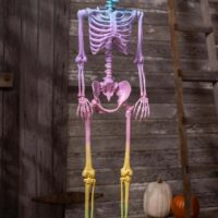 5 Foot Crazy Bones Poseable Skeleton in Rainbow Halloween Decoration