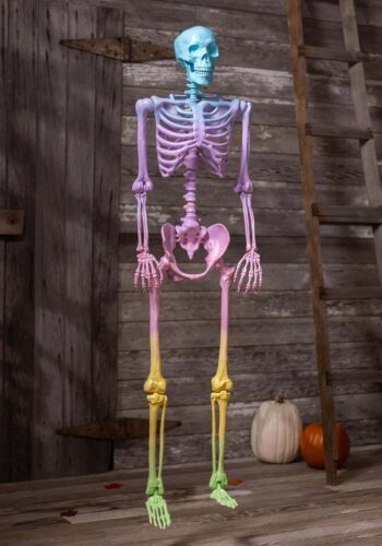 5 Foot Crazy Bones Poseable Skeleton in Rainbow Halloween Decoration