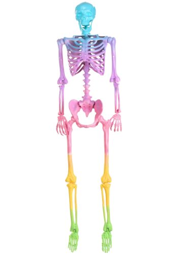 5 Foot Crazy Bones Poseable Skeleton in Rainbow Halloween Decoration