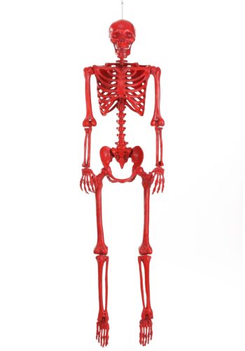 5 Foot Crazy Bones Poseable Skeleton in Red Halloween Decoration