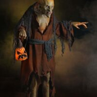 6ft Pumpkin Witch Prop with LED Pumpkin Decoration