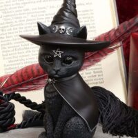 5" Purrah Witch Cult Cutie Halloween Decoration