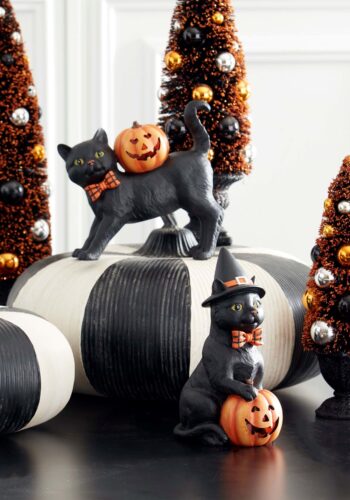 7.5-Inch Black Cat with Witch Hat & LED Jack O Lantern Decoration