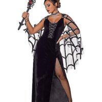 Adult Web of Lies Widow Dress Costume