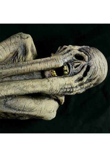 Ancient Mummy Prop