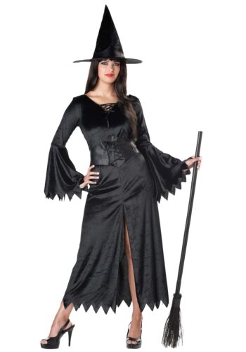 Classic Wicked Witch Adult Costume