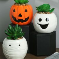 Halloween Mummy, Ghost, and Pumpkin Succulent Planter Set