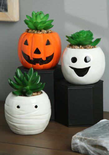 Halloween Mummy, Ghost, and Pumpkin Succulent Planter Set