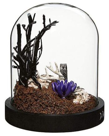 Mystic Arts Graveyard Terrarium Decoration