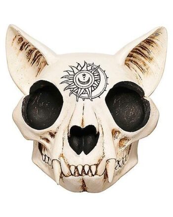 Mystical Arts Cat Skull