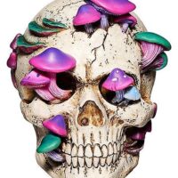 Mystical Arts Mushroom Skull