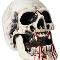 Vampire Skull