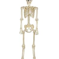 5 Ft Blacklight Pose 'N' Stay Skeleton