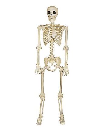 5 Ft Blacklight Pose 'N' Stay Skeleton