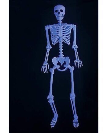 5 Ft Blacklight Pose 'N' Stay Skeleton