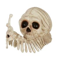 Skeleton Skull Snail