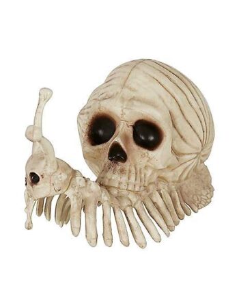 Skeleton Skull Snail