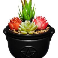 Witches Brew Planter